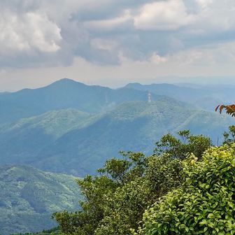 北東側　桂木山(702m)⛰️
　　　　美祢市の最高峰です❗️