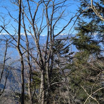 山頂は視界余り利かず
辛うじて木の間から南アルプス南部の山々
