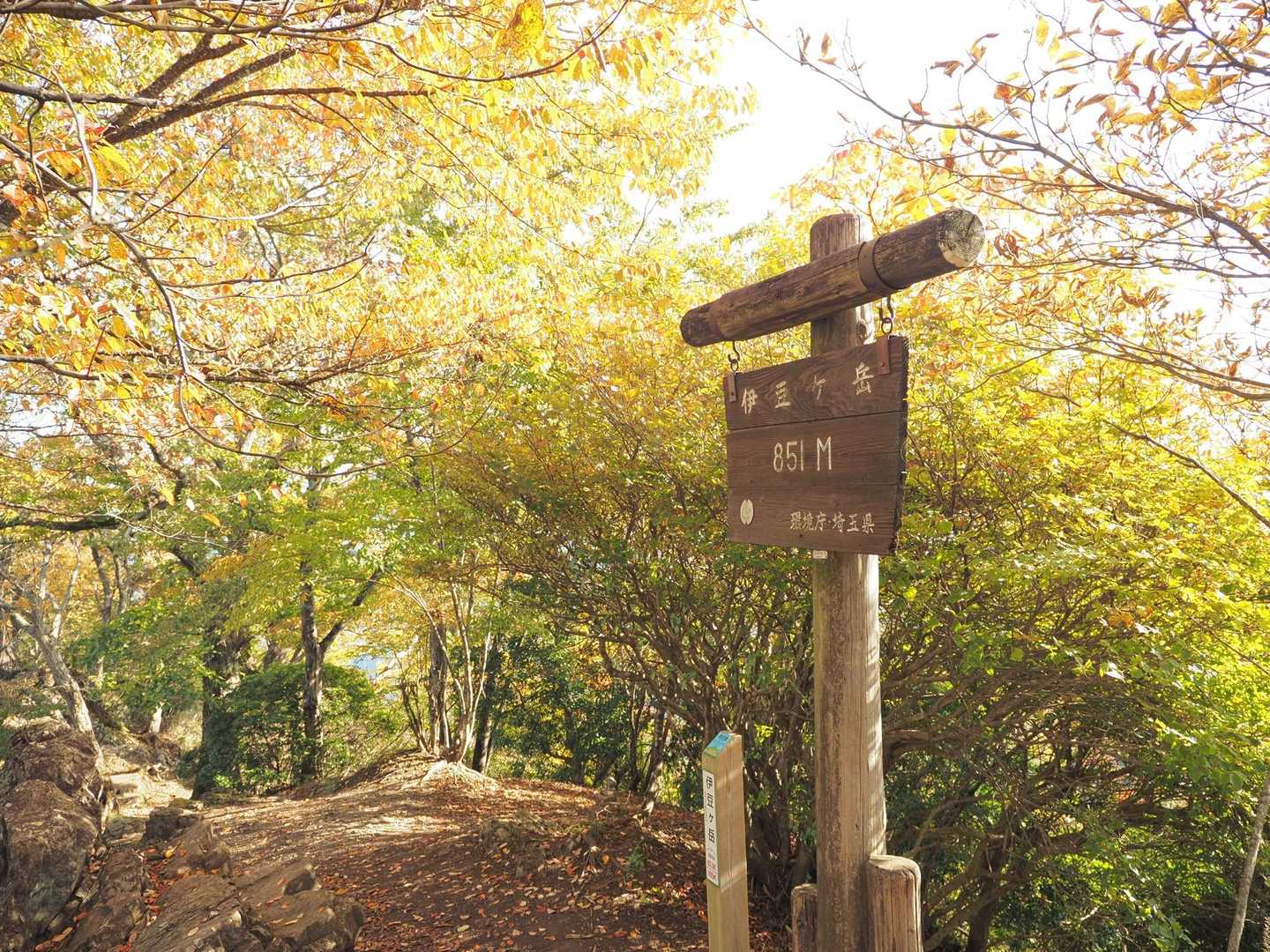 伊豆ヶ岳の山頂付近は紅葉見頃です🍁
