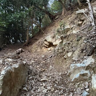 土砂崩れ多い。。。

なんでソロで登る時にかぎって
土砂崩れ多い山選ぶんだろう。。。

山間違えたわ、、、
まちがいさがし3Point GET