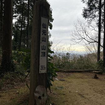 仙元山山頂