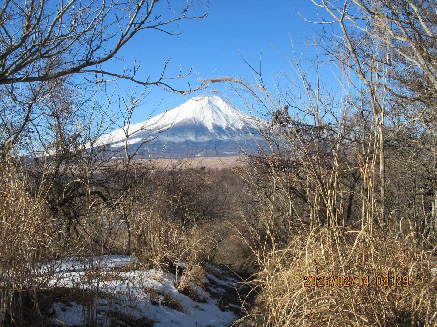 途中振り返ると富士山