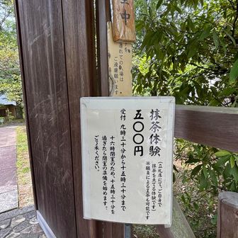 抹茶体験〜するよね〜🍵