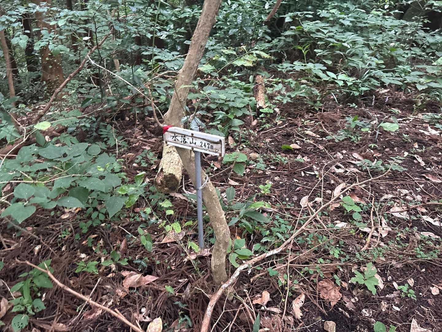 水落山山頂