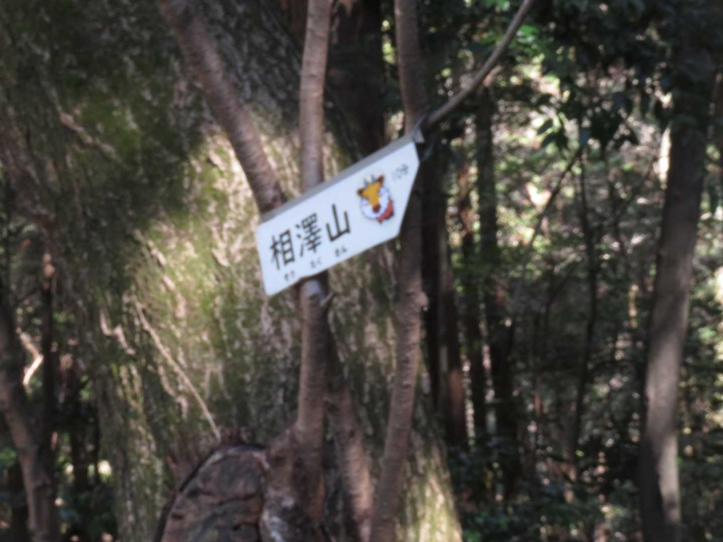 ここへ下りてきました
