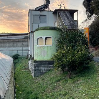 The egg farm market 🥚 