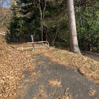 別な登山口へ無事下山。🤠