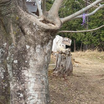 小さな三好山山頂の標識