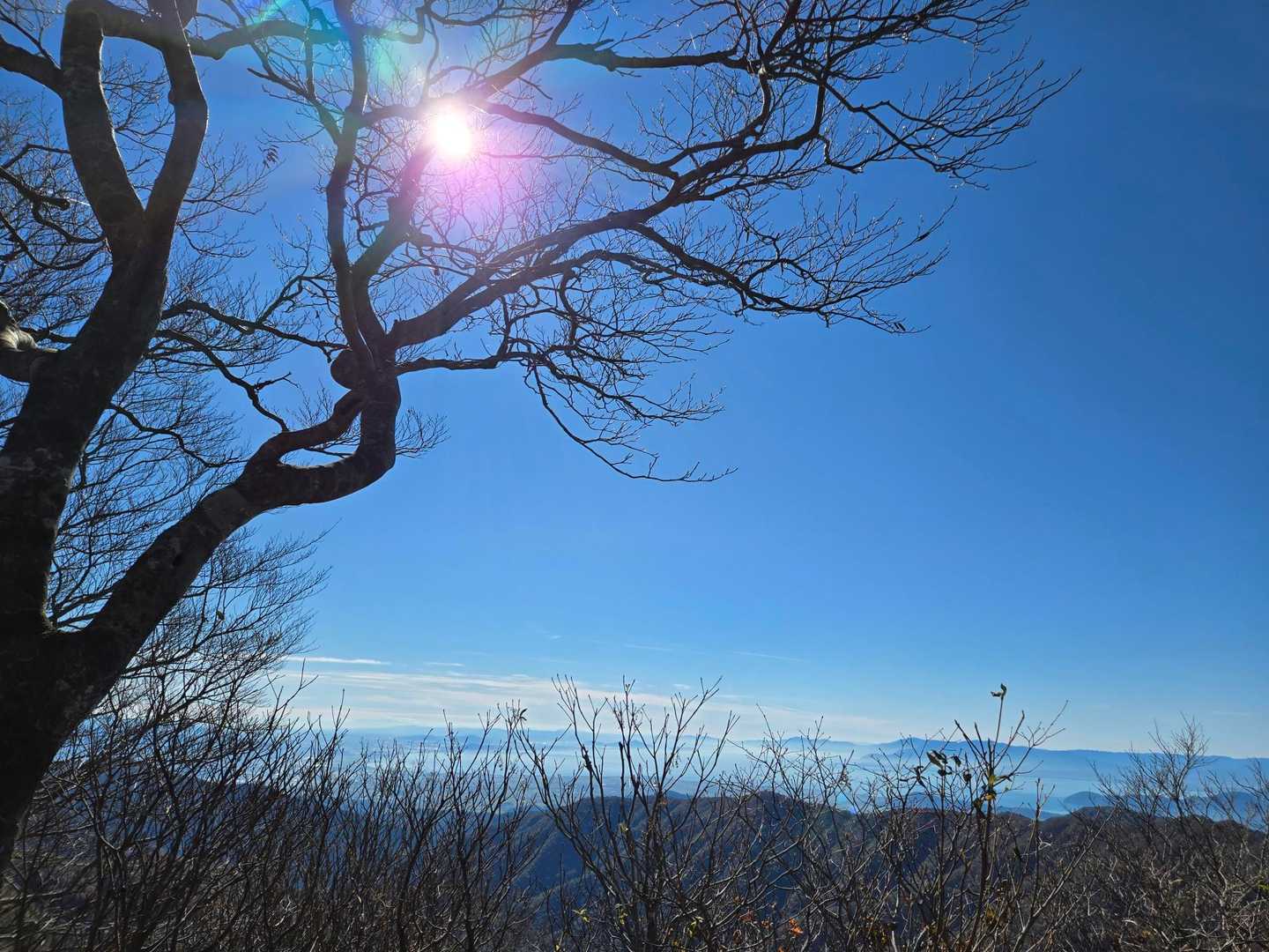 金糞岳-白倉岳 往復コースの写真