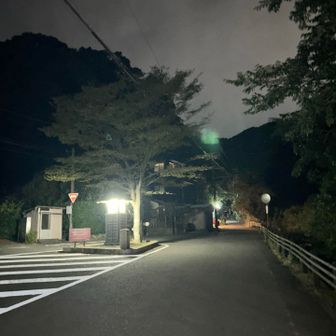 ペニンシュラのスタートに合わせて19時にスタートします！