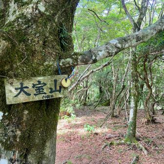 大室山山頂、眺望ないので南峰へ向かう