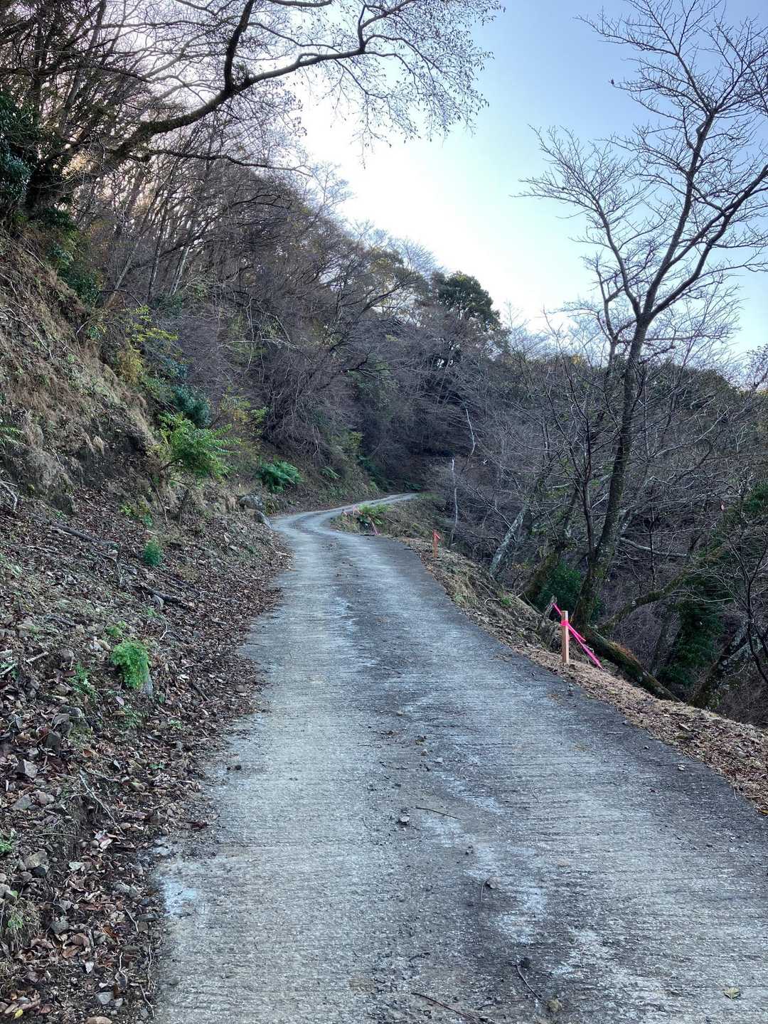 ずっと舗装路