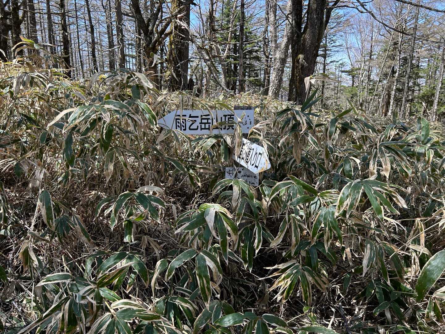 雨乞岳（ヴィレッジ白州登山口）の写真