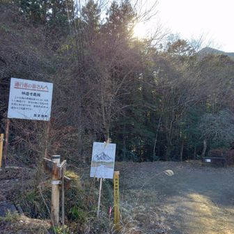 抜けた~けもの道コース？から~