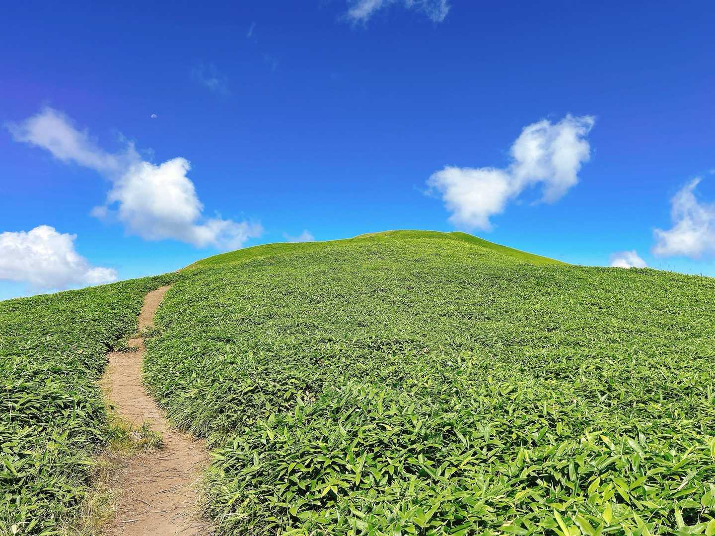 三峰山 往復コースの写真