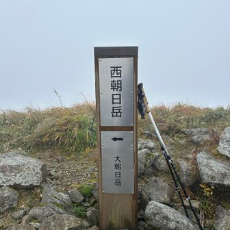 🪧西朝日岳  😶‍🌫️
朝日岳に向かう人は誰も居ませんね😑

竜門山～西朝日岳も晴れていれば見事な紅葉で
山の斜面を彩る素敵な景色が見えたはずです。。
