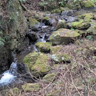 せせらぎの脇を歩き👂️