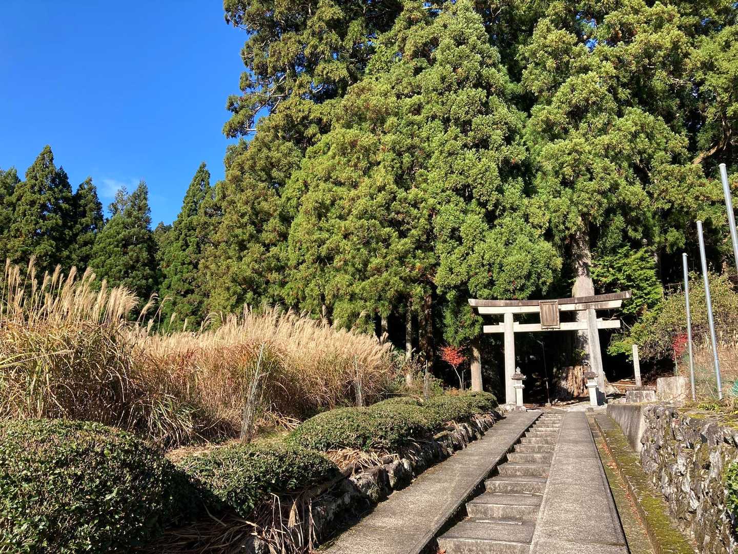 大皇器地租神社⛩️