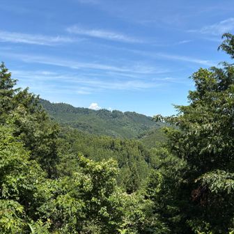 高尾山方面