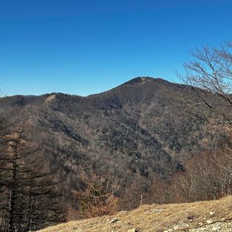 遥か先に石尾根を経て雲取山