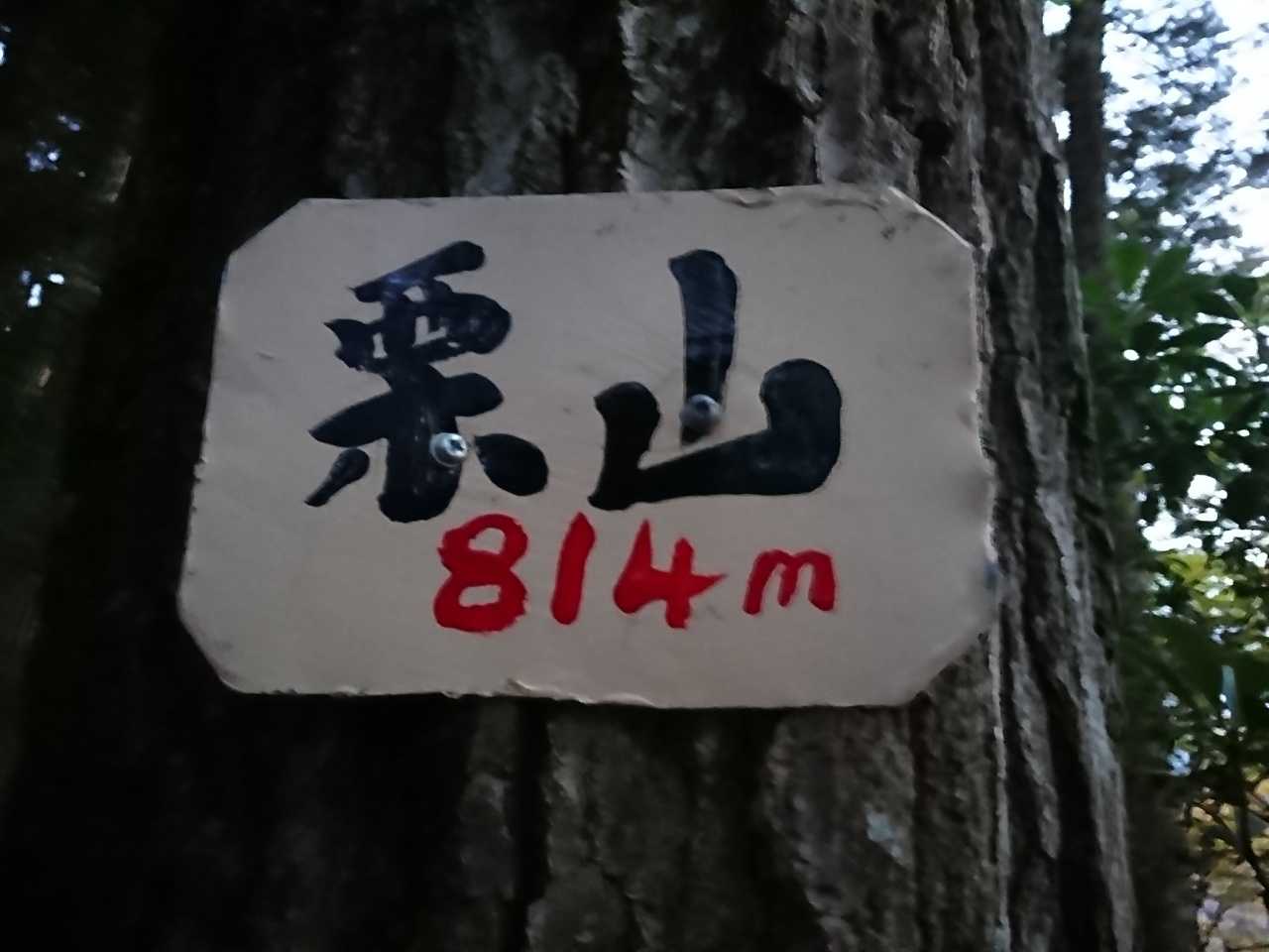 埼玉県でお馴染みの山名標らしい。