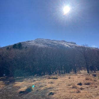 祖母山山頂付近は、霧氷でキラキラ輝いていました