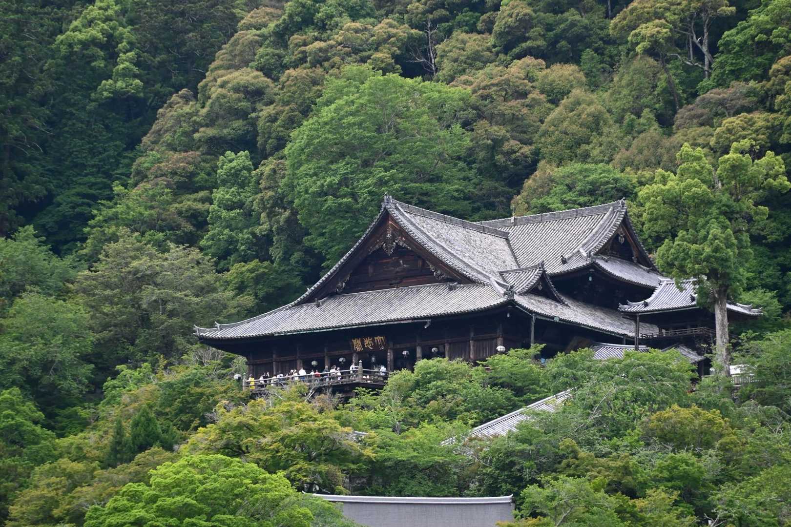 長谷寺

與喜天満神社の手前の橋から望遠で