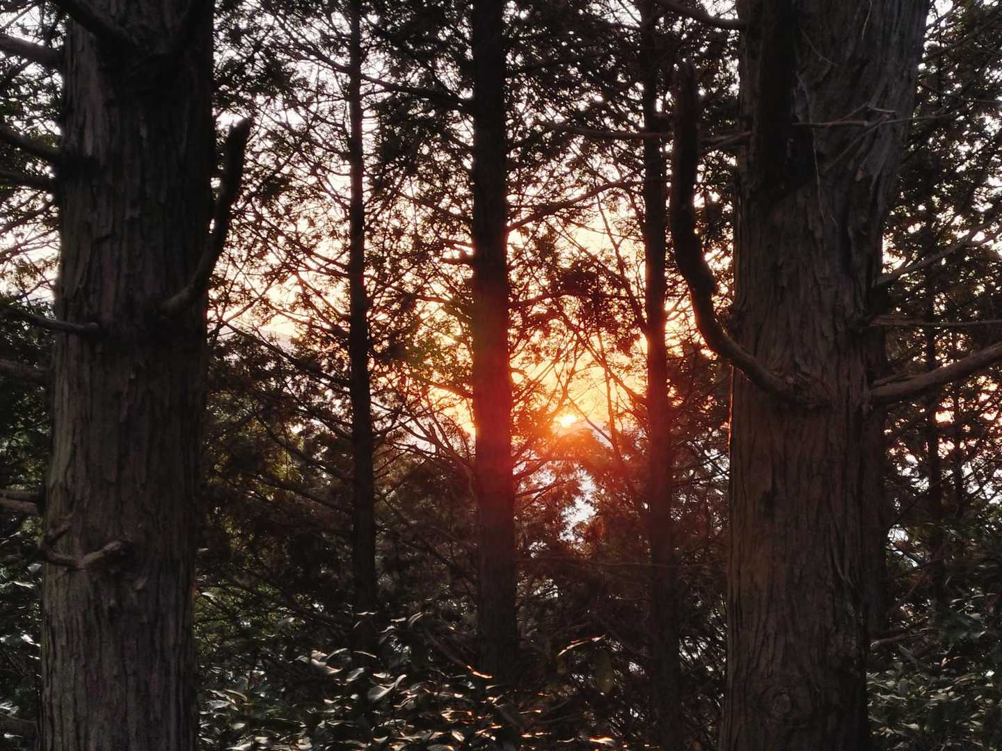 朝日が登ってきた🌅