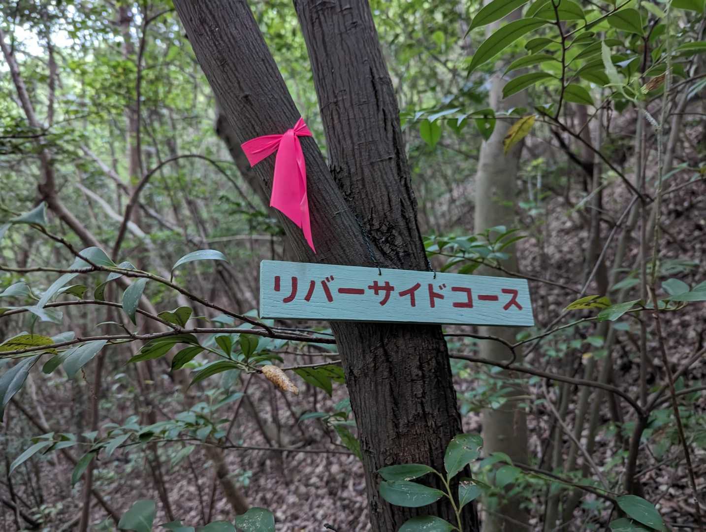 龍ノ口山登山口-龍ノ口八幡宮 往復コースの写真
