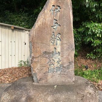 行きますかぁ💪
