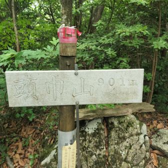 見えないけど
頭巾山
ここでは一人増えて３人。写真撮ったりして３人のパーティみたいに😊