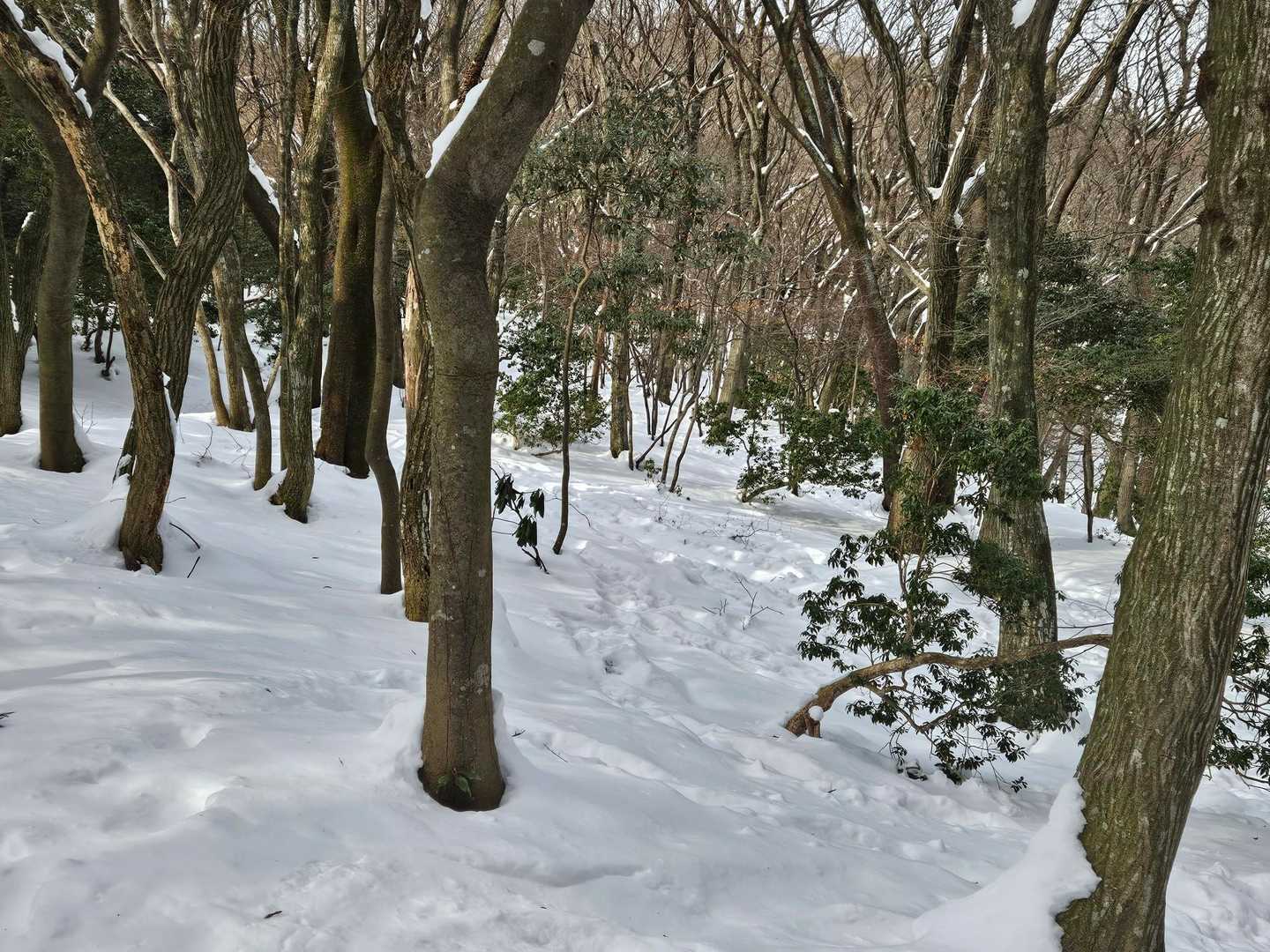 3合目　僅かな坂でも滑って登れない
「爪先で登ろうとするからだ」と師匠の指導が飛びます
未熟な私はこれ以上はツボ足は無理だと思い　10本爪アイゼン装着