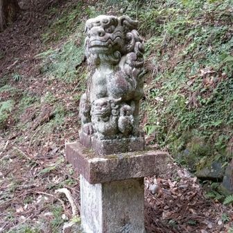 足元に子犬がいる狛犬（吽犬）のところから入山します。