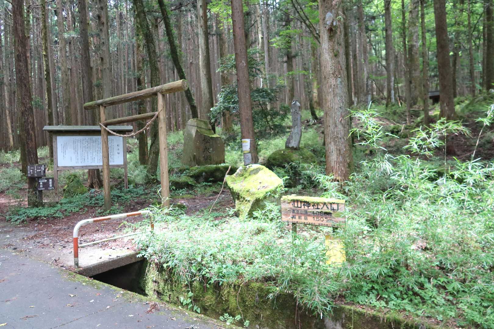 暑かった～💦　誰とも会わない 13,000歩👍