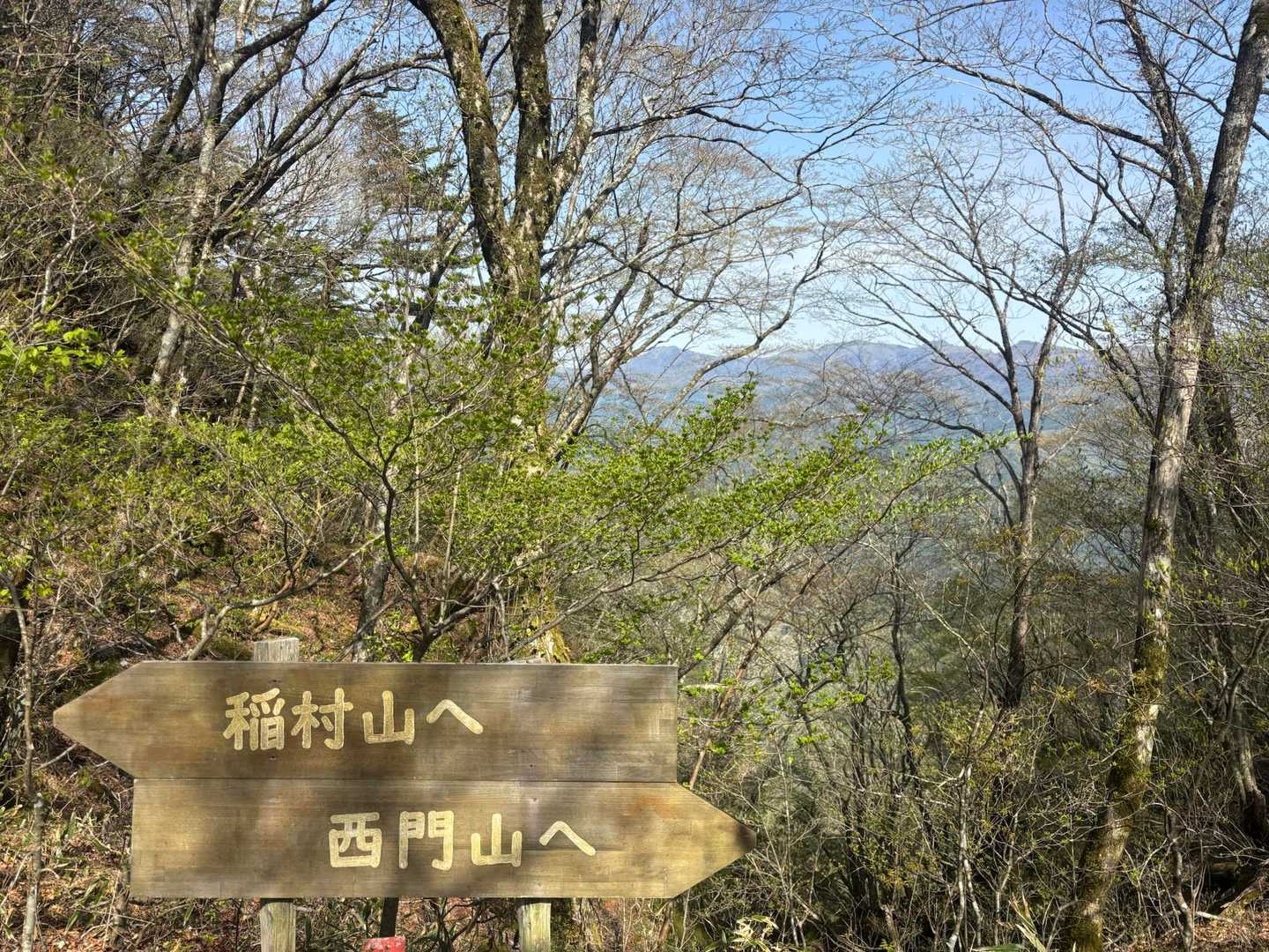 稲村山へ