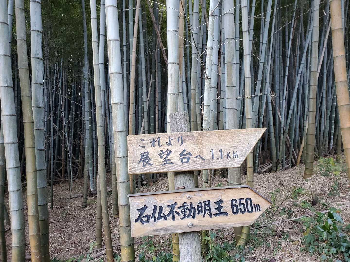 そんなに距離はないけど