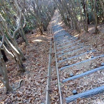 こんなに長い階段だったとは