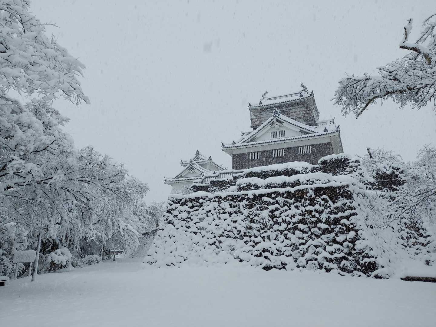 冬の越前大野城🏯