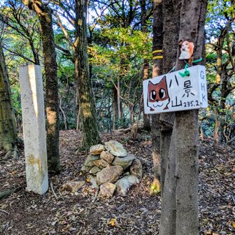 可愛いプレートも🤭