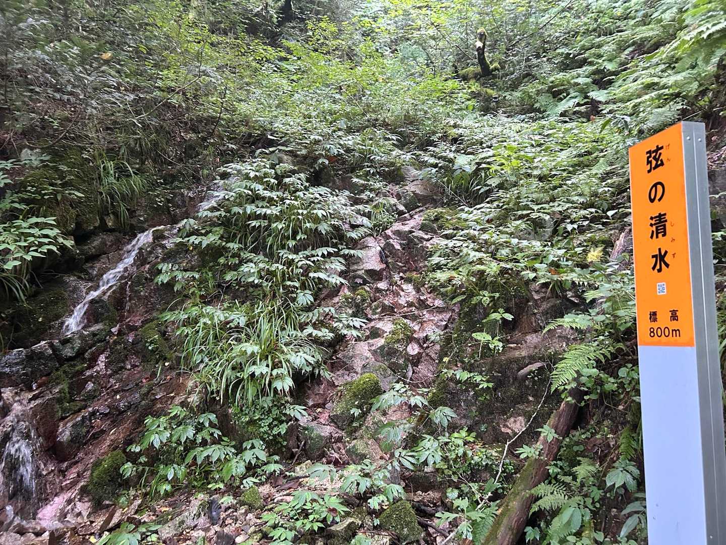 弦の清水。涼しい