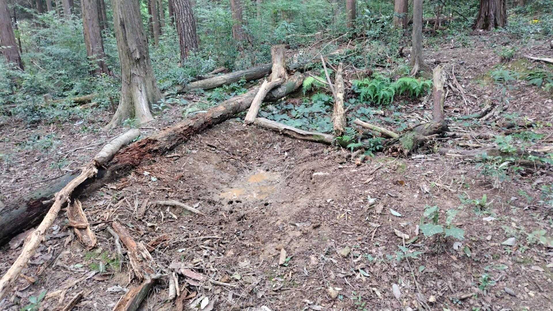 ぬた場（猪のお風呂）♨
