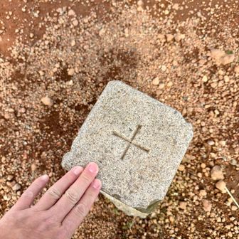 ぐるぐる探して山頂標識は見つからず…
たぶん、この三角点が頂上！