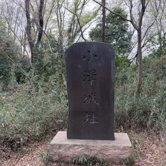 ここが今日最後のピーク小沢峠の城跡🧐