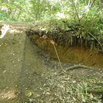断層がズレた跡に道が作ってある。