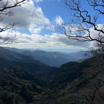 海見えるの伊豆のいいとこだよね