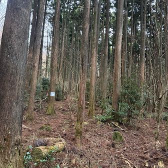 しばらく舗装路を進み、ここから登山道です
