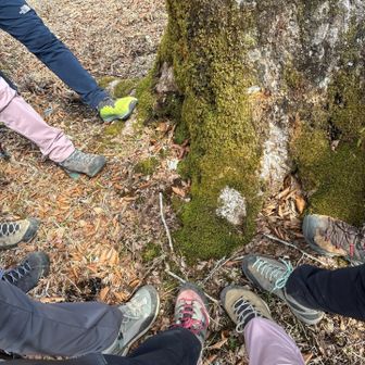 どっかのピーク😅
ピークの表示がないからとりあえず足の写真撮りました