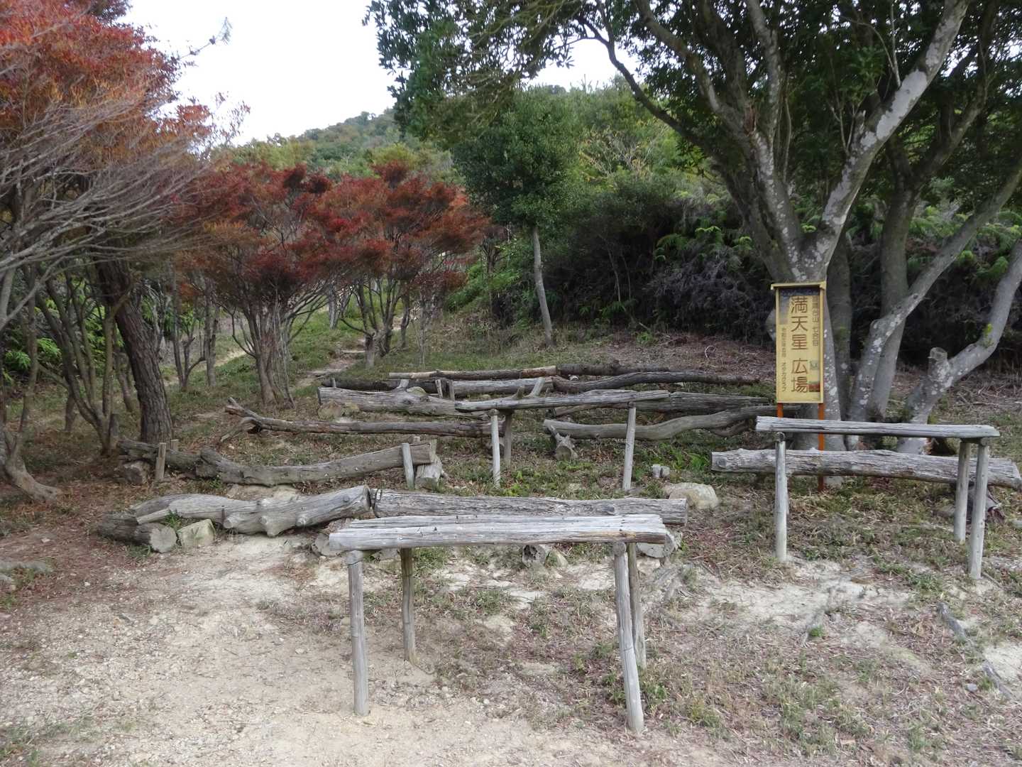 満天星広場
野外活動が出来そうです。