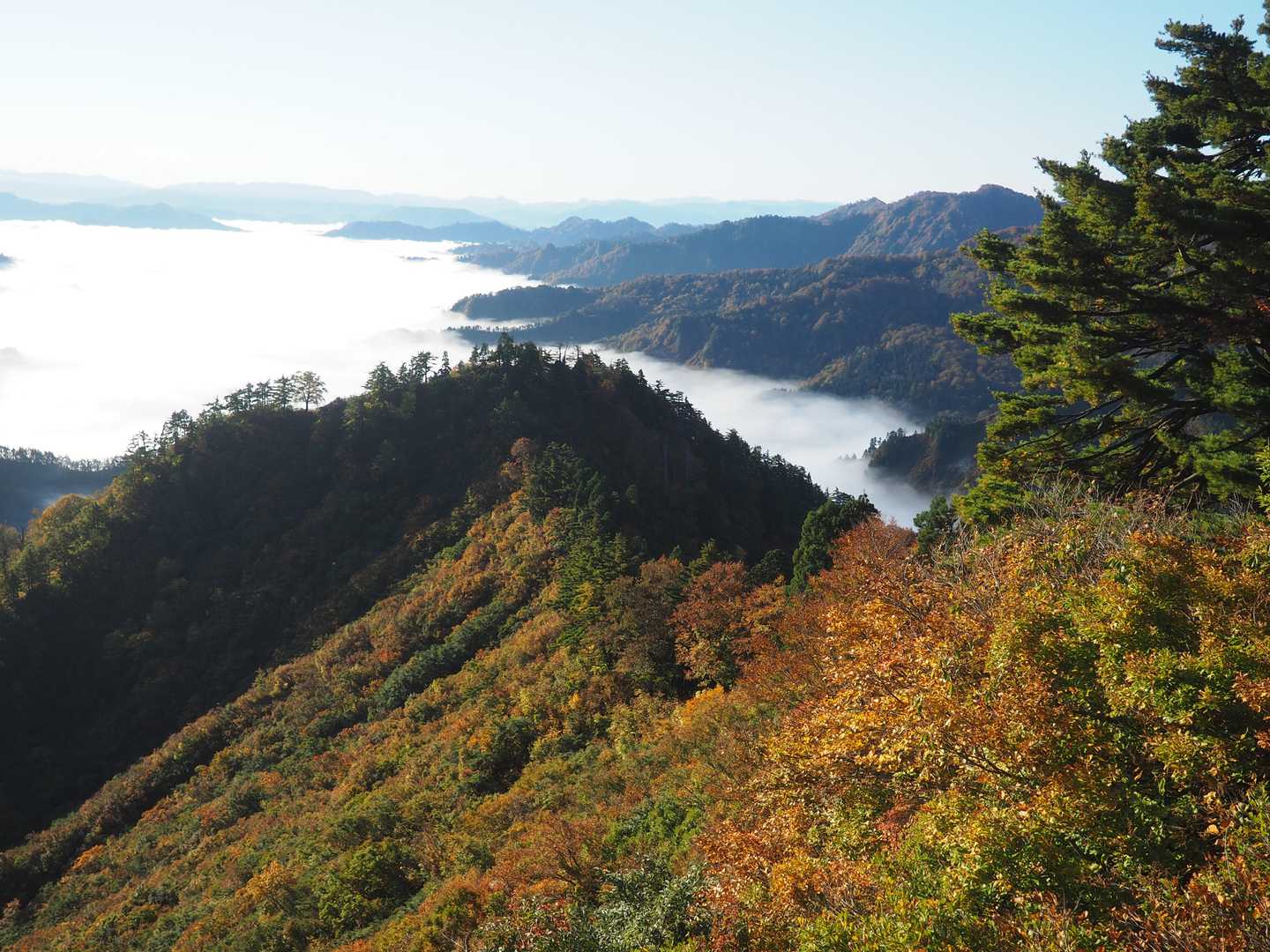 杉山ヶ崎への稜線。