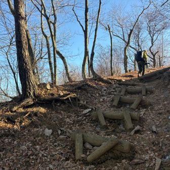 階段ぽかったところはほとんど崩れぎみ
脇を登りました